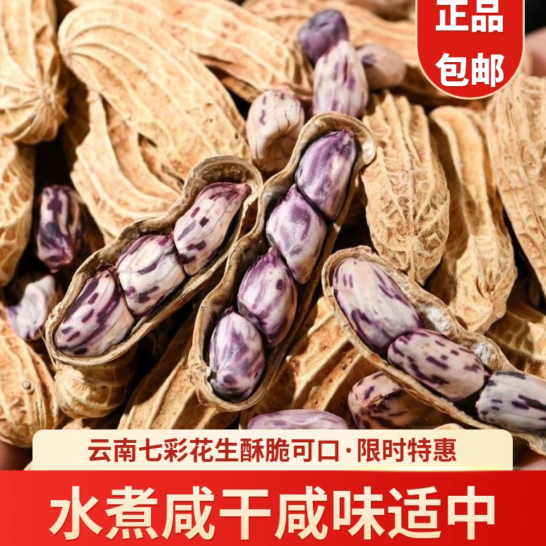 特大颗粒云南七彩咸干花生水煮坚果炒货带壳零食精选咸香酥脆年货