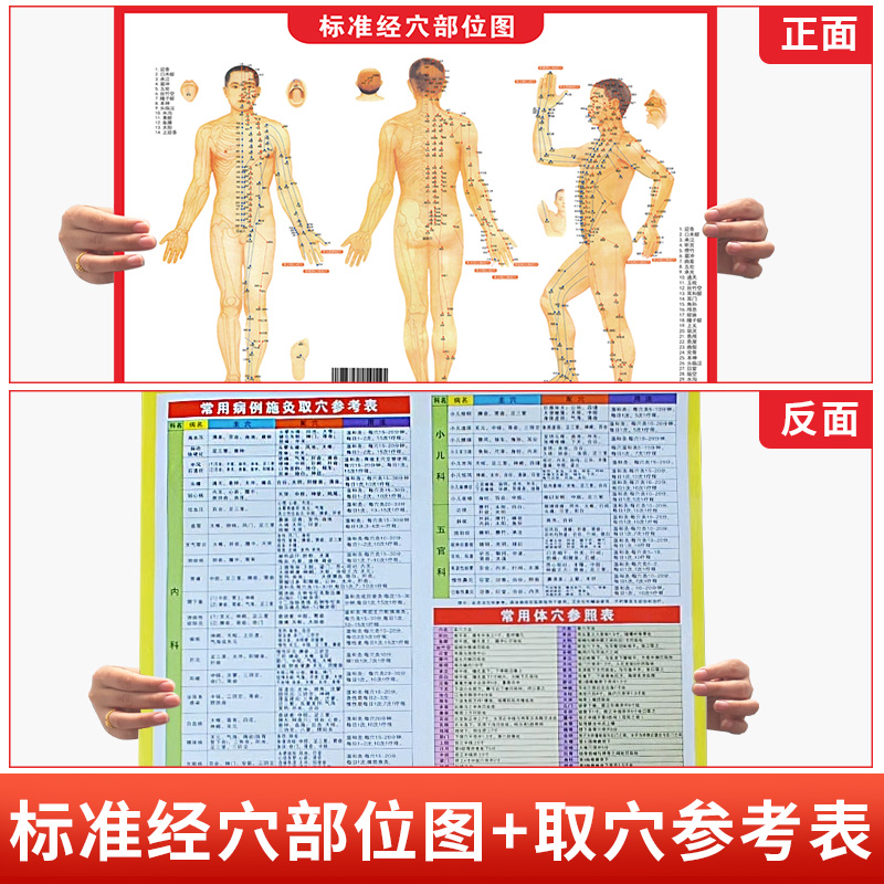 标准经穴部位图含经络图