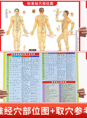 标准经穴部位图含经络图