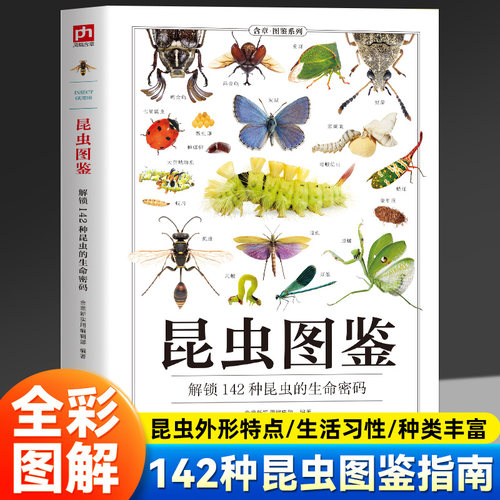 昆虫图鉴 涵盖百余种昆虫知识培养探索精神 自然科普进阶书籍