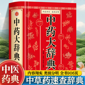精装 中药学书籍词典 版 原版 辞典中药书中药材中药字典中医药大词典药学医学工具书药膳大辞典剂量倪海厦临床用药 全套 中药大辞典