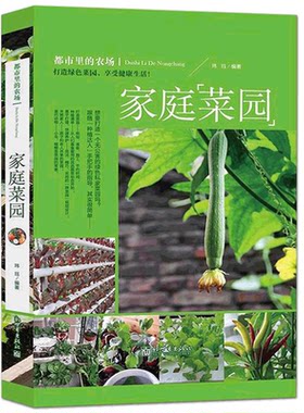 都市里的农场家庭菜园软