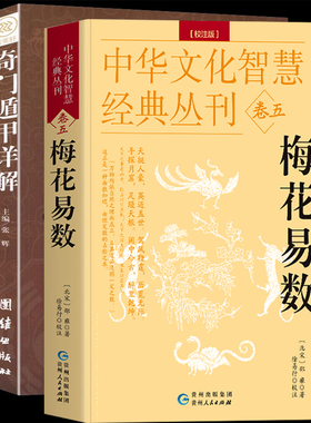 奇门遁甲书籍正版详解+梅花易数全2册白话精解周易本义译注六爻玄机沈氏玄空学全书易经大全阴阳五要风水周易全书易经入门风水学书