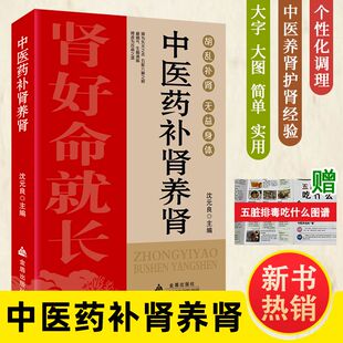 中医药补肾养肾 肾好不衰老饮食食谱药膳按摩推拿穴位图预防肾结石肾炎阳痿尿毒症痛风养肾补肾书籍中药材壮阳补肾中医养生大全书