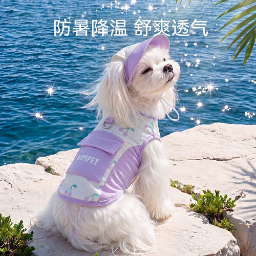 狗狗衣服撞色拼接背心带帽子比熊博美小型幼犬夏季降温宠物凉凉衣