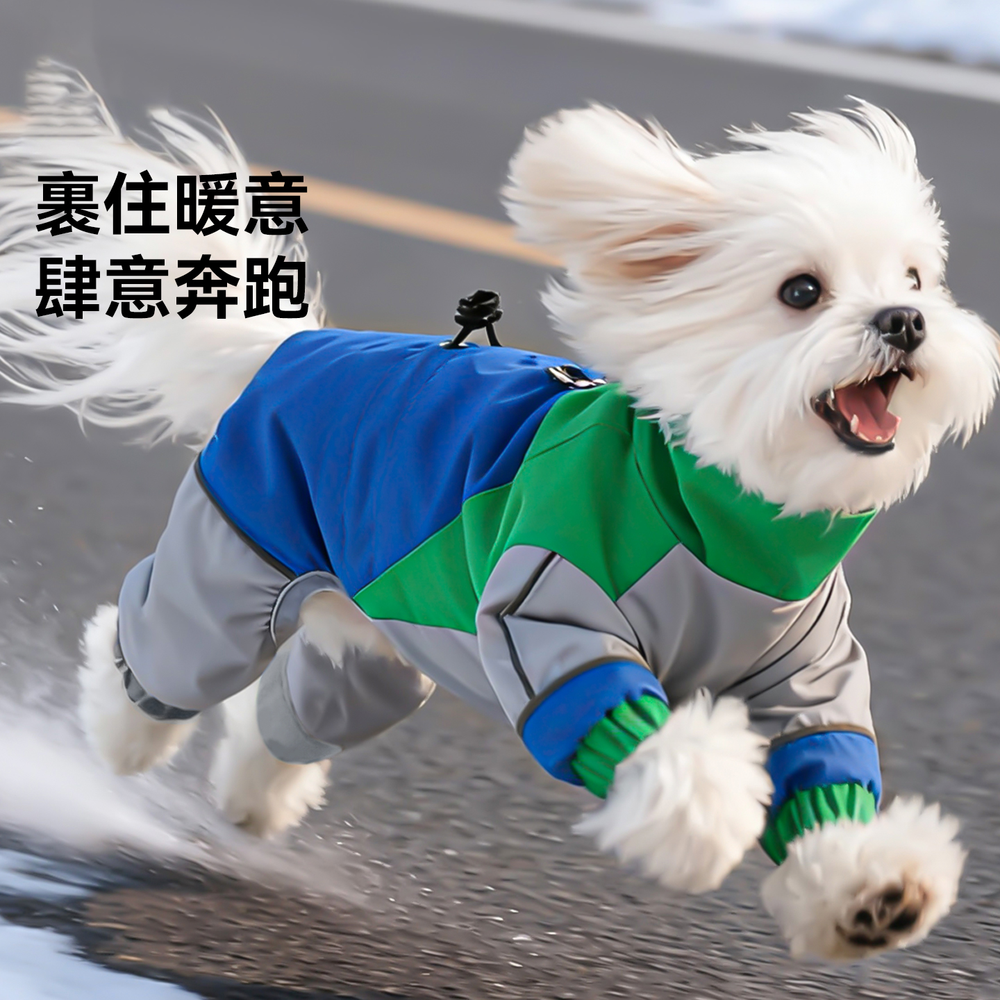 秋冬季狗狗泰迪高定撞色加绒四脚户外冲锋衣防风防水保暖宠物衣服