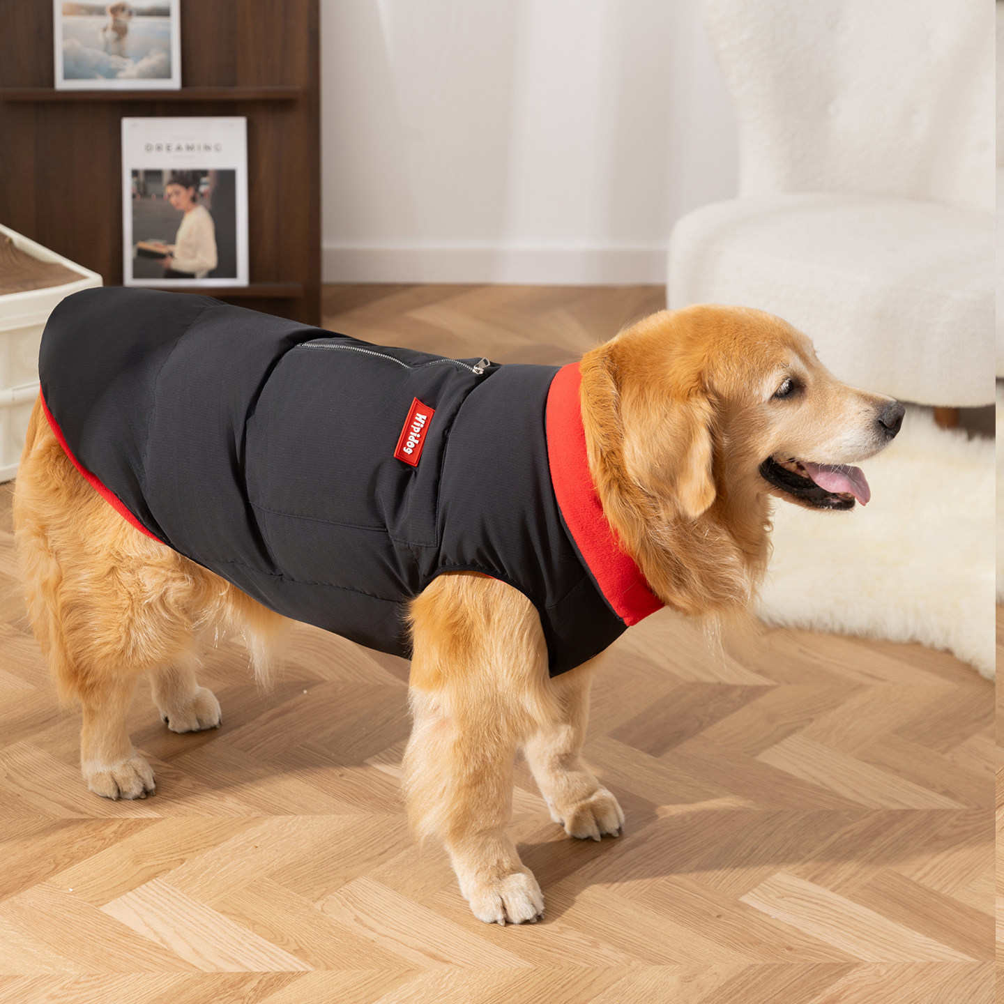 秋冬狗狗马甲潮酷口袋大狗保暖背心棉衣中大型犬宠物边牧金毛衣服,宠物/宠物食品及用品,狗宠物服装/雨衣,淘宝优惠券,粉丝福利购,淘宝优惠卷