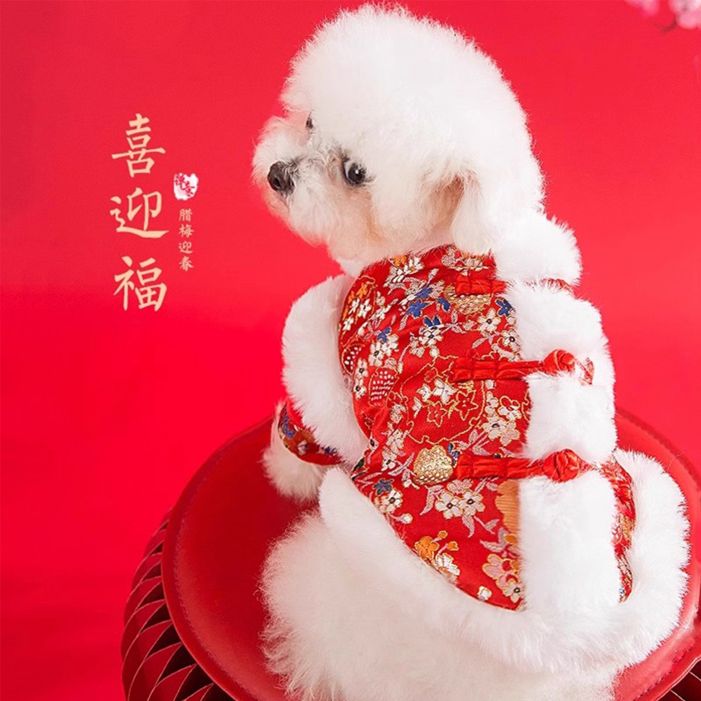 秋冬季狗狗唐装百花金丝两脚棉衣中小型犬泰迪过年喜庆宠物狗衣服