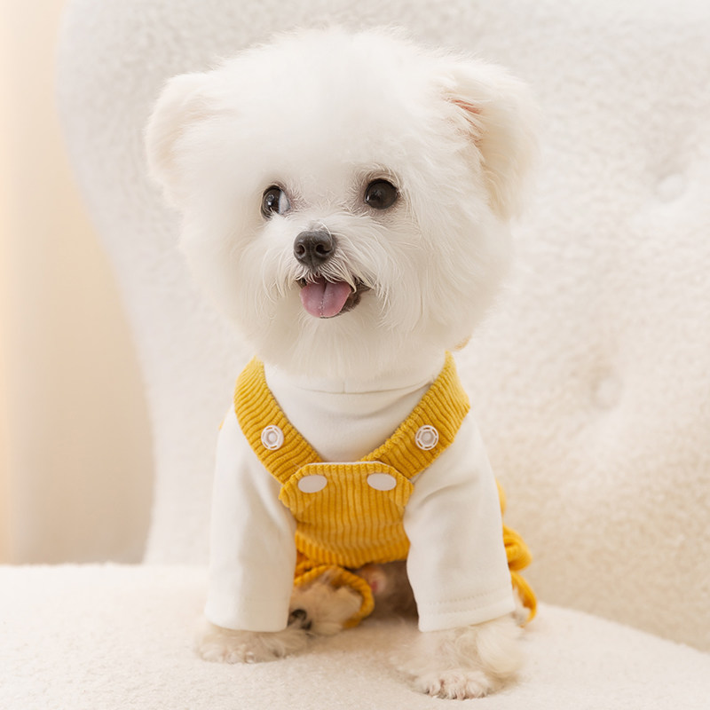 小狗狗衣服灯芯绒秋冬装比熊泰迪雪纳瑞猫咪小型犬宠物秋季背带裤