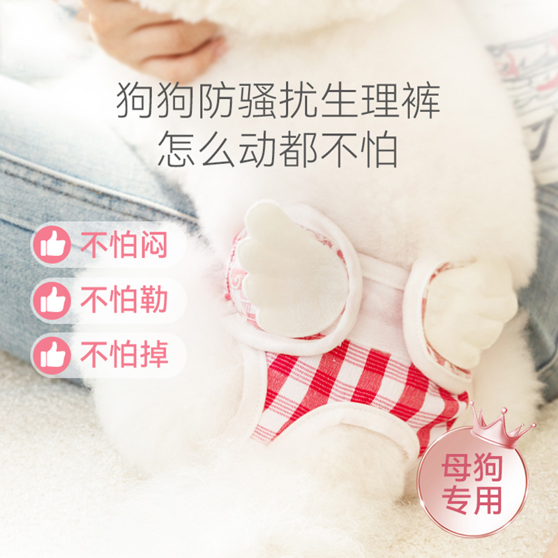 狗狗清新韩系透气生理裤