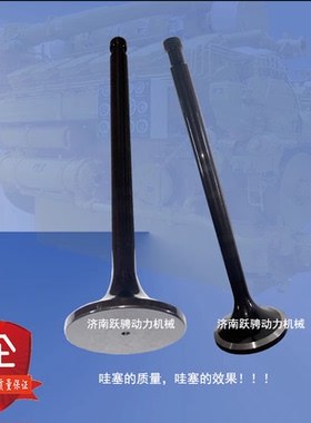 500kw 12VB.03.37A/22 进排气阀门适用胜动190系列燃气发电机组