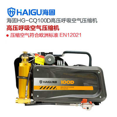 HG-CQ100D高压呼吸海固