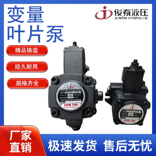 变量叶片泵液压泵俊泰油泵