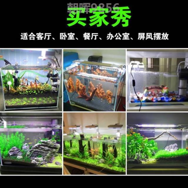 客厅不带柜子家用玻璃便宜乌龟缸限时抢购