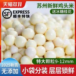 苏州鸡头米新鲜特大颗粒2斤装2025官方芡实茨实苏芡豆非手剥干货