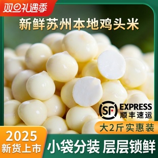 鸡头米新鲜苏州2025特产茨实斗苏芡2斤装 官方旗舰店非手剥干货