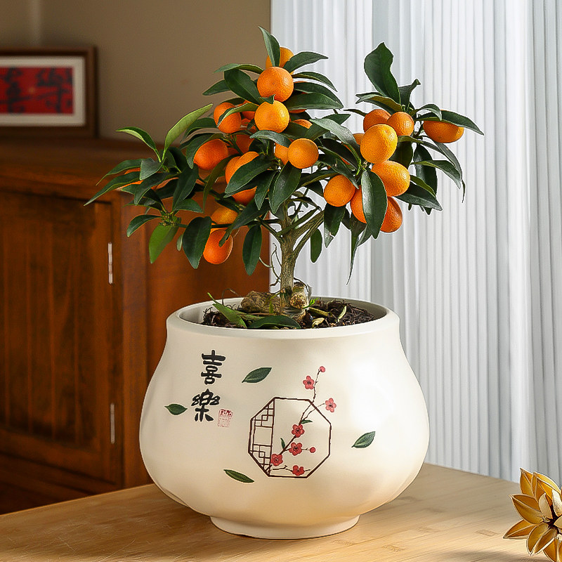 新中式陶瓷花盆家用轻奢高级感