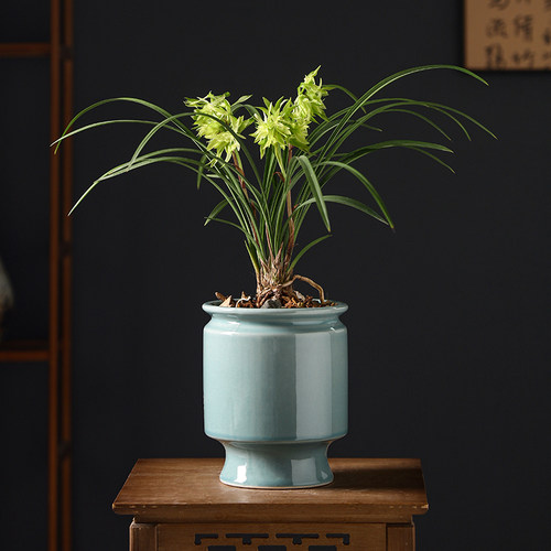 陶瓷花盆家用客厅文心兰蝴蝶兰盆