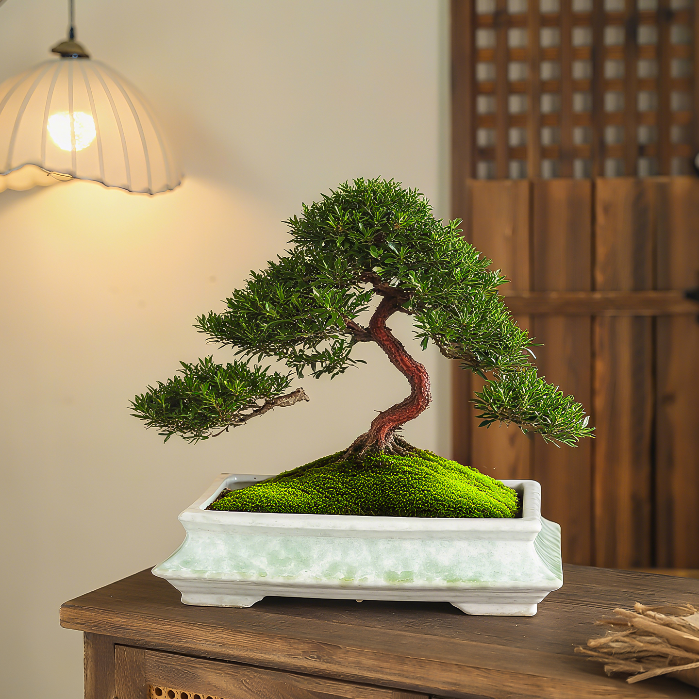 中式陶瓷花盆高级感禅意轻奢简约