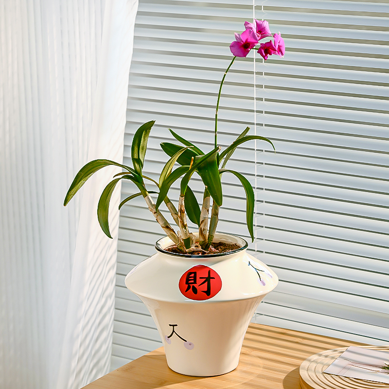 简约现代三角梅客厅家用