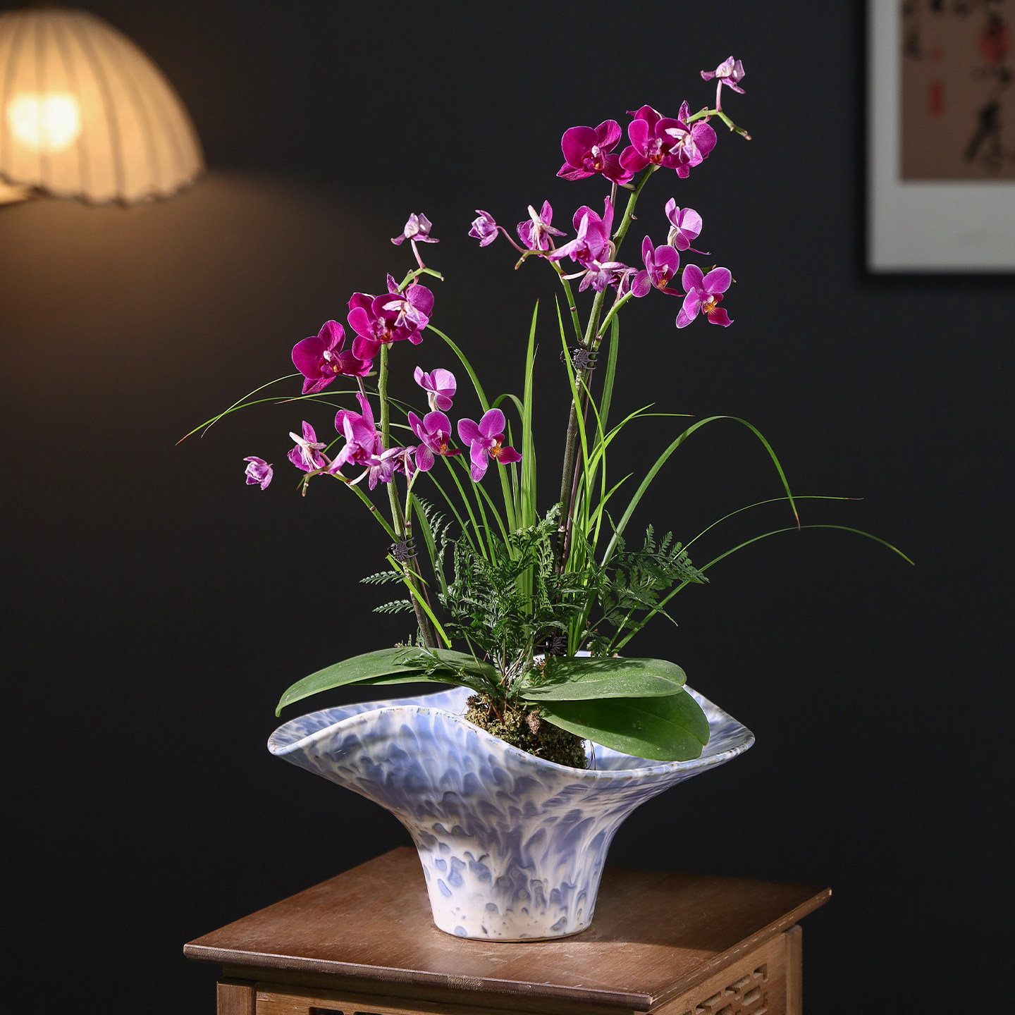 花盆陶瓷苔藓球中式禅意大口径红磷蕨狼尾蕨石斛米竹专用绿植拼盘,鲜花速递/花卉仿真/绿植园艺,花盆,淘宝优惠券,粉丝福利购,淘宝优惠卷