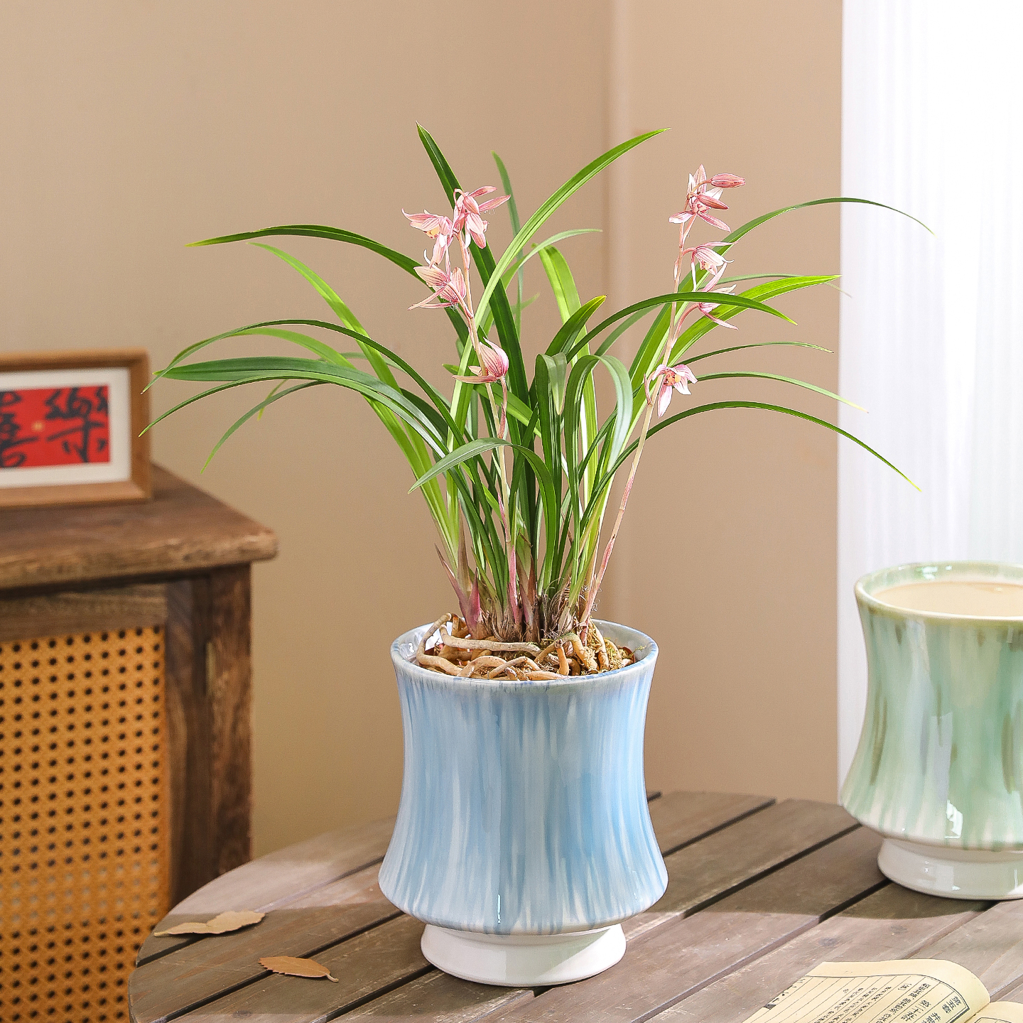 简约现代陶瓷花盆精致家用桌面