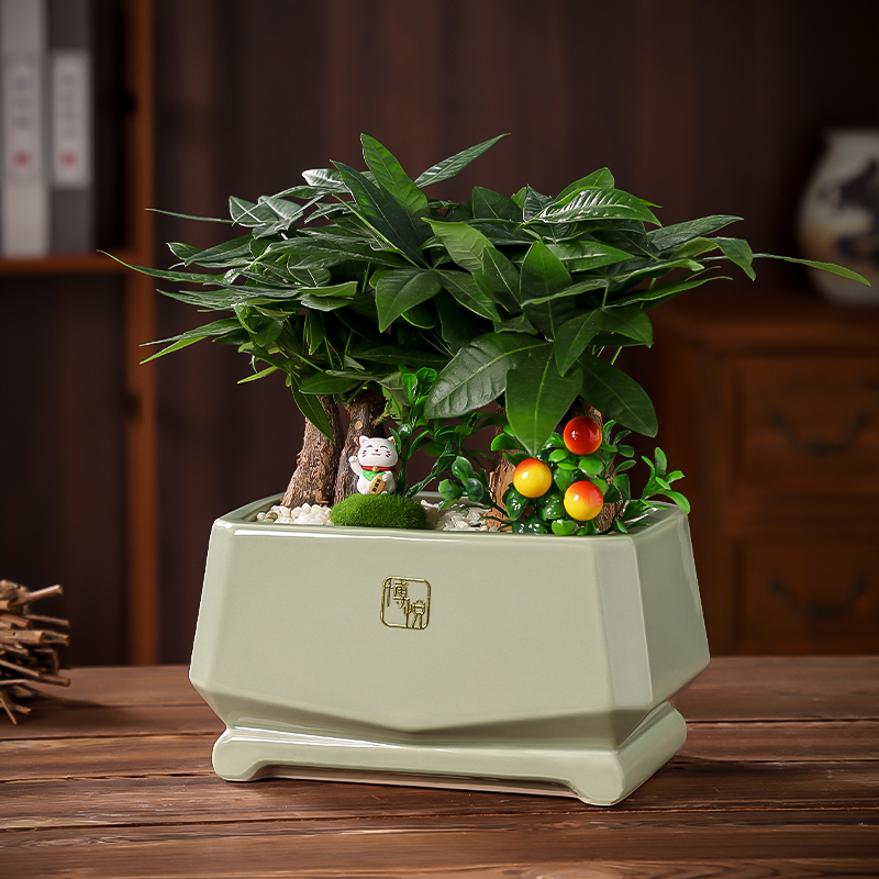 嫒悦简约盆景陶瓷花盆新品特价