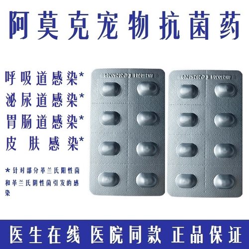 阿莫克抗菌消炎药犬猫感冒咳嗽用