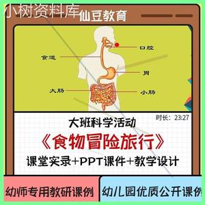 幼儿园大班科学优质课《食物冒险旅行》PPT课件幼师教研公开课例1