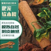爬宠攀爬棒睫角守宫树蛙树栖攀爬软木棍巨人守宫爬宠攀爬棒装 饰木