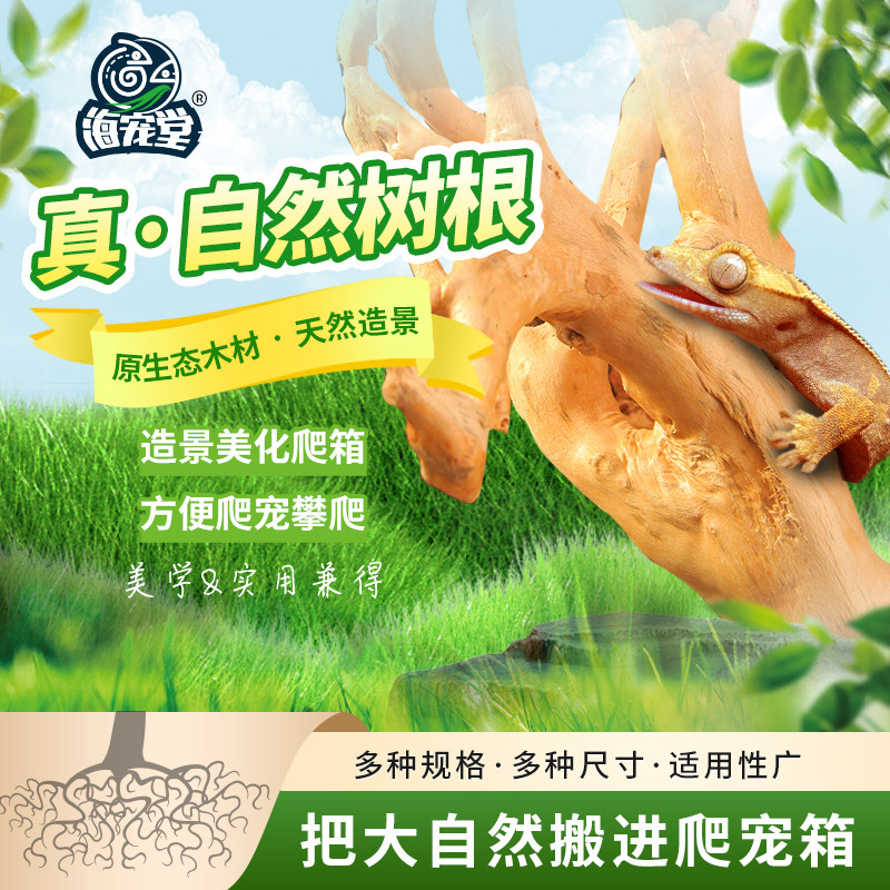 海宠堂爬箱饲爬箱饲养缸睫