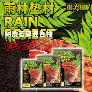 加拿大希瑾 爬虫雨林地表树皮垫材森林地表爬宠蛇守宫陆龟蜥蜴保