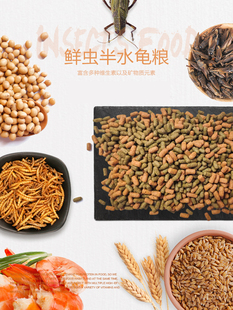 Macfn鲜虫半水龟粮黄缘闭壳龟虫肉虾高蛋白龟粮高适口性