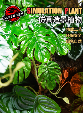 SuperRep爬虫造景雨林缸真植物爬宠陆龟蜥蜴睫角守宫饲养箱装饰
