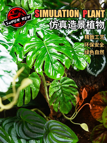 SuperRep爬虫造景雨林缸真植物爬宠陆龟蜥蜴睫角守宫饲养箱装饰
