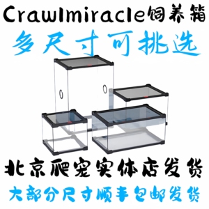 CM爬虫缸爬宠造景缸生态玻璃缸守宫蜥蜴角蛙蜘蛛雨林缸爬宠饲养箱