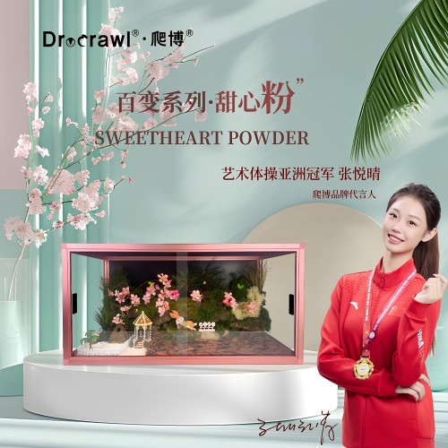 爬博甜心粉铝合金爬箱蜥蜴守宫饲养箱亚克力爬虫狐獴造景缸爬宠缸
