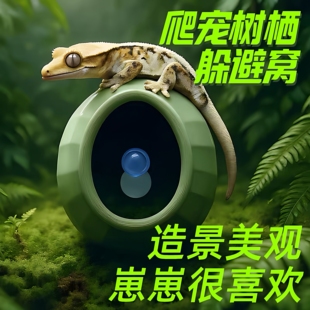 睫角守宫蛋仔躲避屋树栖窝树蛙盖勾亚洞穴攀爬悬挂窝助脱皮躲藏洞