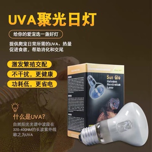 CM爬宠加热灯UVA日灯鬃师蜥蜴陆龟变色龙爬虫加温保温太阳灯