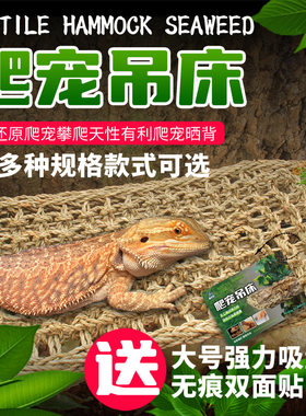 海宠堂爬虫吊爬虫吊床躲避