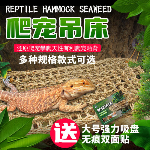 海宠堂爬虫吊爬虫吊床躲避
