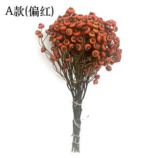 蔷薇果干花干枝中式 造景陈设 红色果子家居装 饰插花婚庆摆件软装