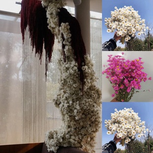 鲁丹鸟天然真花罗丹斯云南真干花家居装饰客厅ins北欧风野餐拍摄