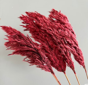 芦苇干花永生花束diy手工客厅装饰花摆件婚庆拍摄花材道具伴手花