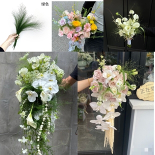 染色干花展会永生喷泉草不凋花自然植物拍照道具装饰DIY插花束