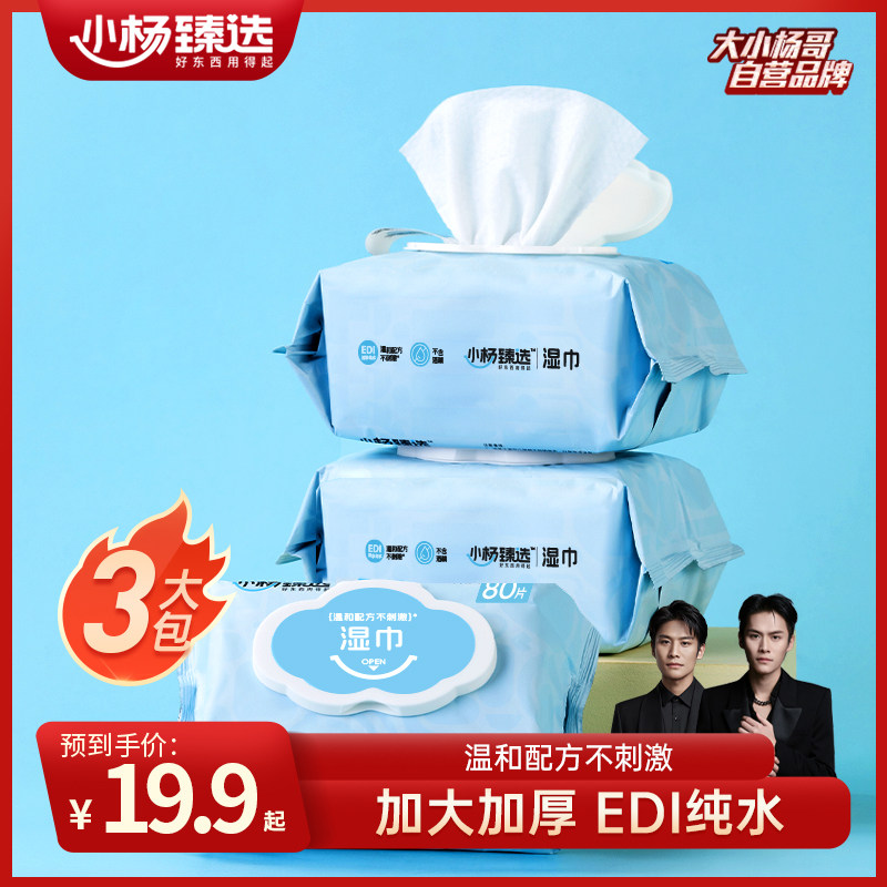 小杨臻选湿巾带盖小杨哥湿纸巾大包柔软亲肤家用EDI纯水湿巾纸,洗护清洁剂/卫生巾/纸/香薰,常规湿巾,淘宝优惠券,粉丝福利购,淘宝优惠卷