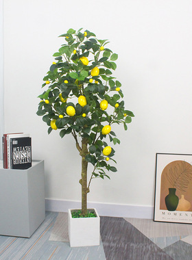 仿真柠檬树盆栽家居装饰绿植盆栽大型植物水果树客厅落地摆件