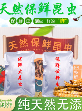 吉唯鱼虫类中国大型鱼保鲜