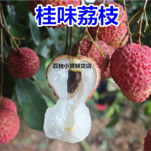 桂味荔枝新鲜甜2025时令当季水果整箱5斤顺丰广东茂名高州鲜荔枝