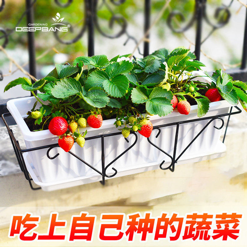 网友分享在meiguo.com的图片